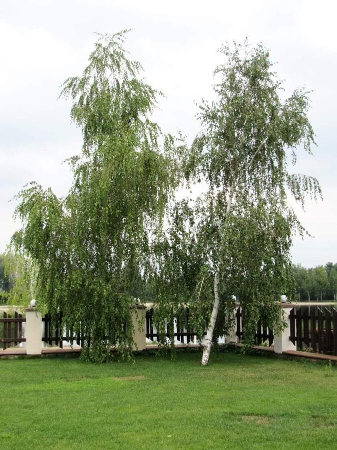 Hotel And Restaurant Complex Lubokray Pereyaslav-Khmelʼnytsʼkyy Екстериор снимка